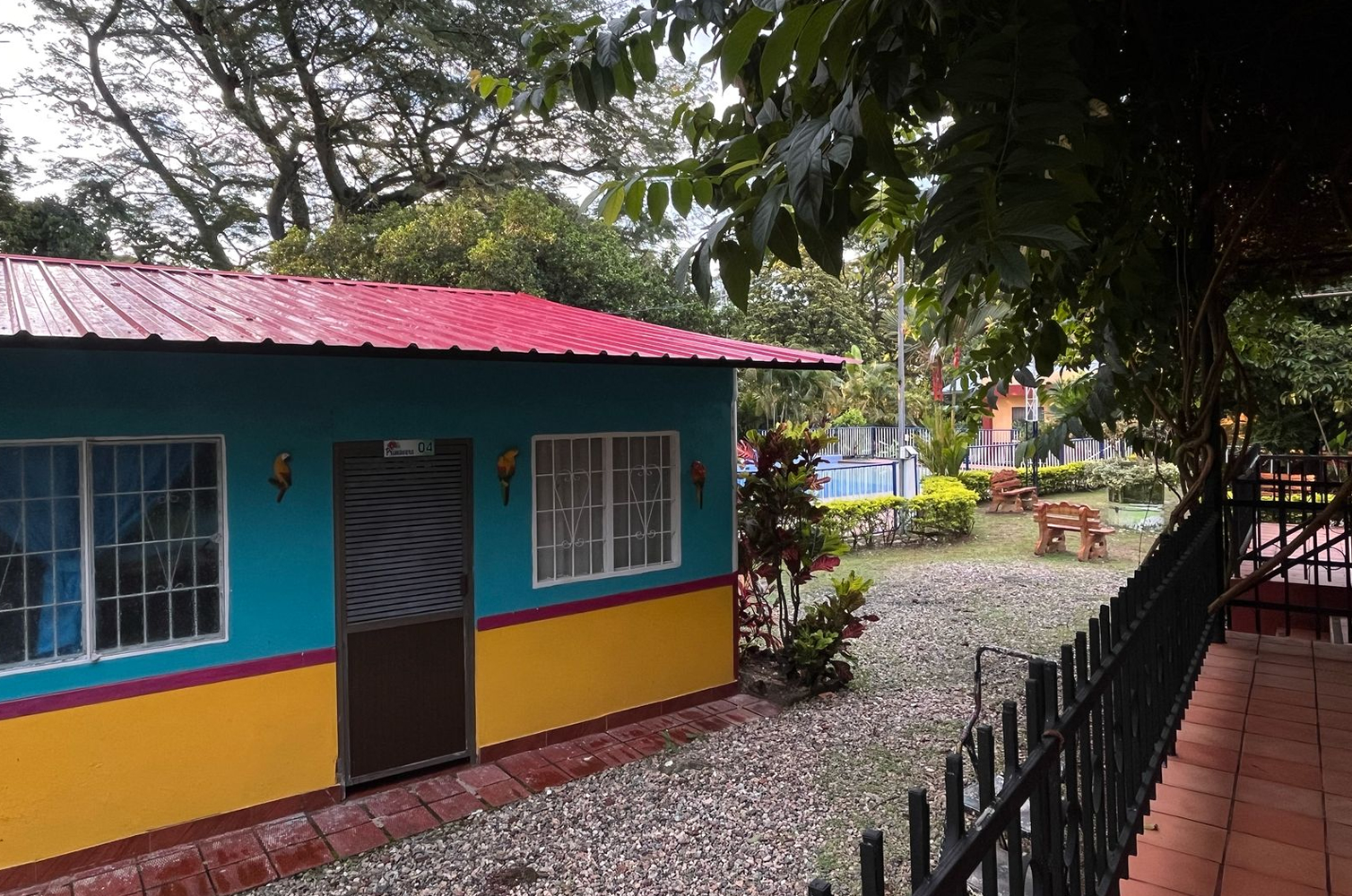 pexels-annija-mieze-427042079-15197931