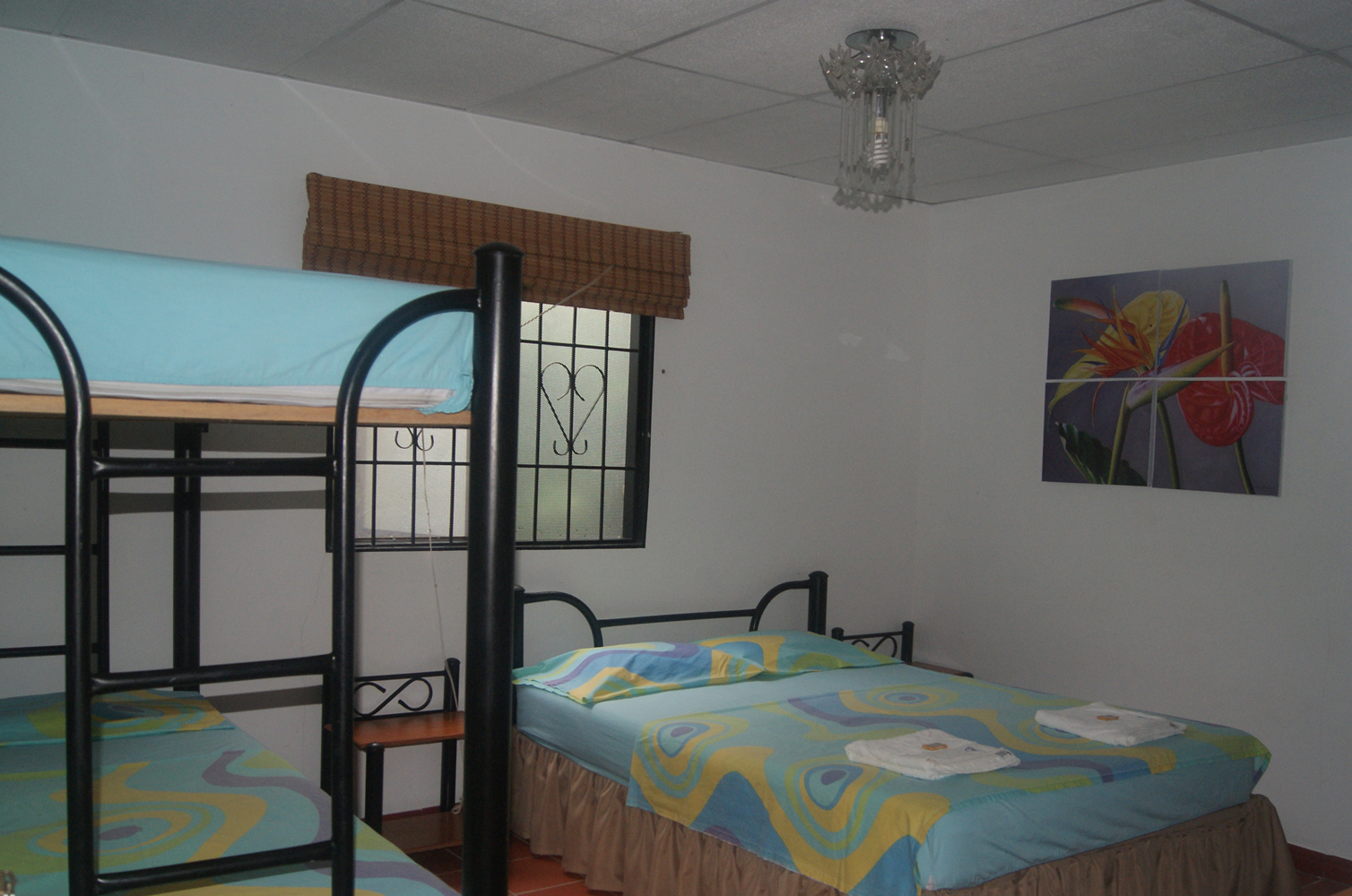 pexels-wildlittlethingsphoto-696218