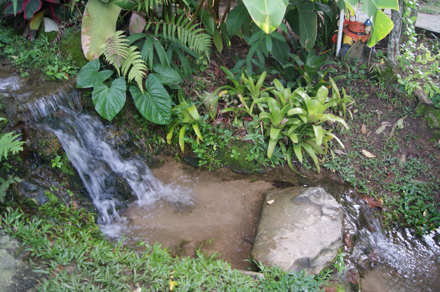 pexels-fariphotography-905847