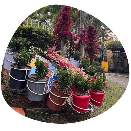 A description of my image.